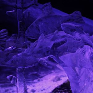 Jääveistos, Jääteltta 2019 Kulttuuritalo Laikku, Tampere